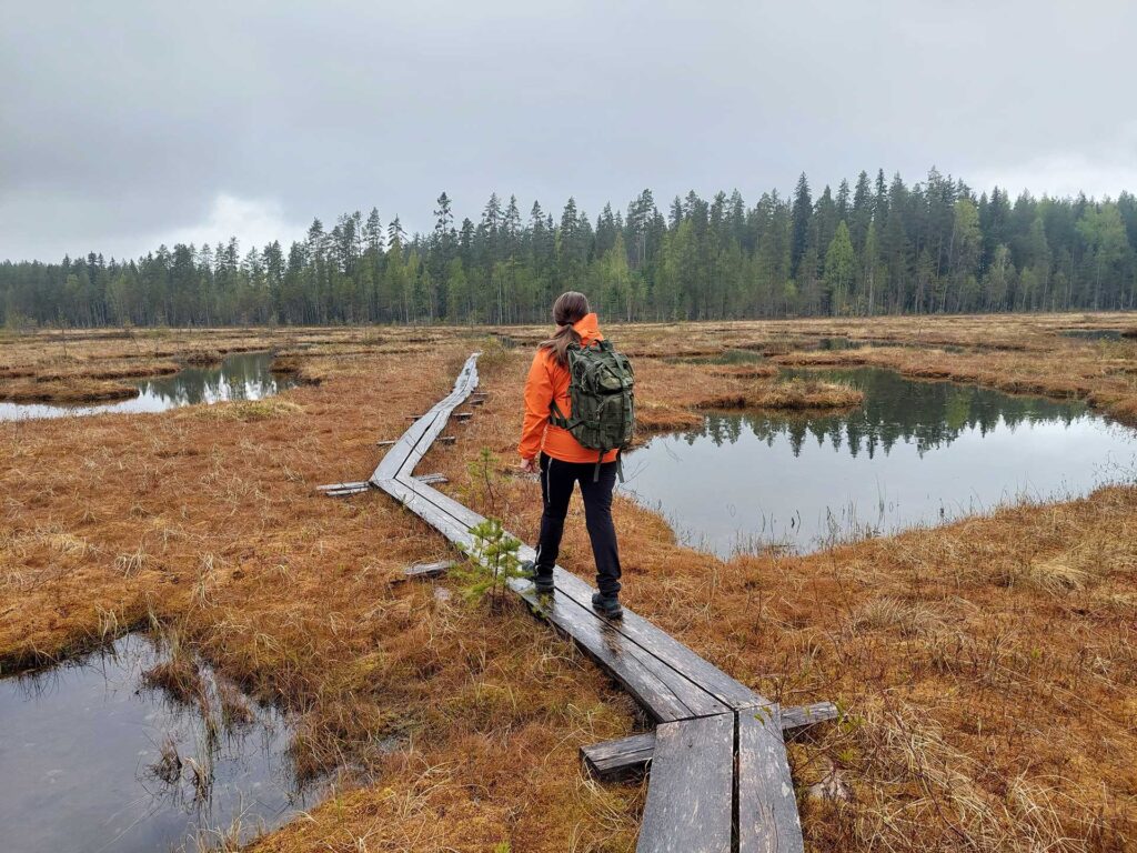 suo, pitkospuut, retkeilijä